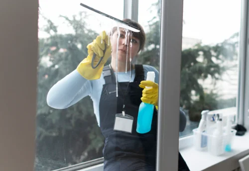 Nettoyage de vitres intérieures et extérieures à Friesen